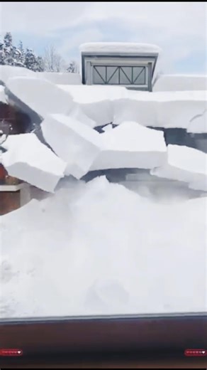 Daily Fails 💥 | EP 88