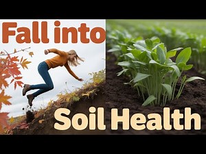 FALL into Soil Health: Top Cover Crops for Organic Gardeners!