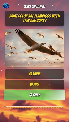 🤯 Bird Riddle: Can You Guess the Color?