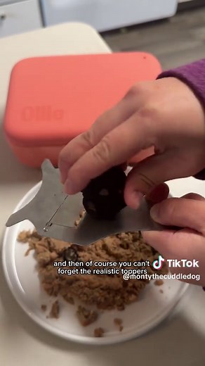 Discover the Best Fresh Dog Food for Your Pet