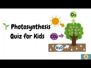 Photosynthesis Quiz for Kids 🌞 | How Do Plants Make Food? ‪@brainybees25‬