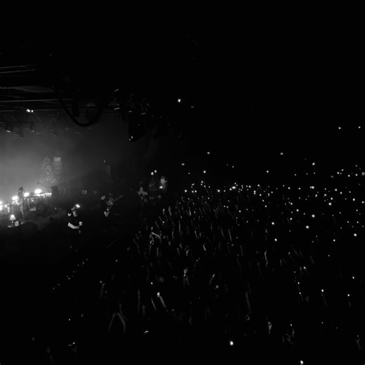 Down With Webster on Reels