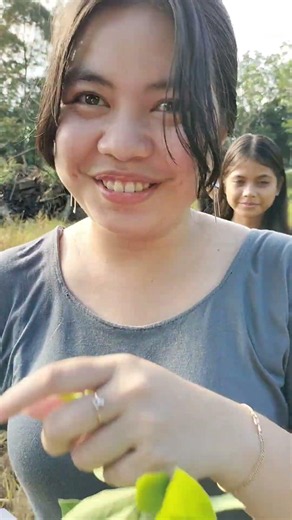 Ampu