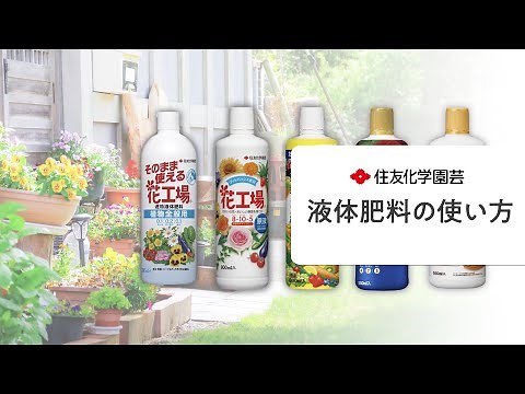 【肥料】【簡単】液体肥料の使い方