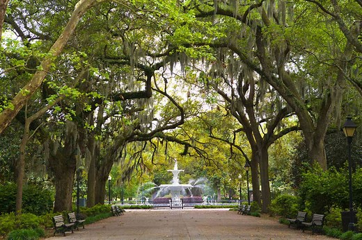 22 Best Things to Do in Savannah, Georgia, According to Locals