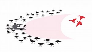 "Wow I'm new to waterfowl hunting and this app is awesome. I didn't believe there was so much to setting up decoys. I thought they just got thrown out there." iPhone Tap Here: http://bit.ly/ducksiPhone Android Tap Here: http://bit.ly/ducksandroid | DecoyPro