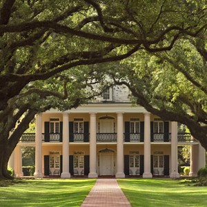 Oak Alley Plantation Tour From New Orleans - Crescent City Tours