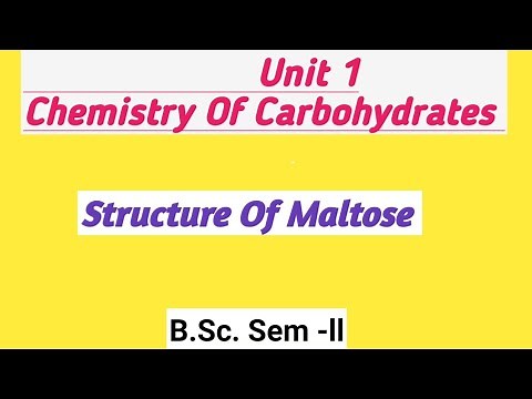 Carbohydrates: Structure Of Maltose ‪@NOBLECHEMISTRY‬