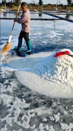 Understanding the Traditional and Modern Processes of Salt Production #satisfying ‪@MNnhattech‬