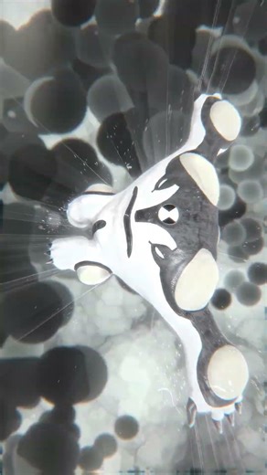 Ben 10 Cannonbolt Transformation in Real Life! | Live action | #ben10 #ben10classic #vfx