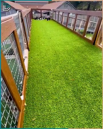 22K views · 381 reactions | Dock training, dogs love the most! | Dormtainment | Facebook