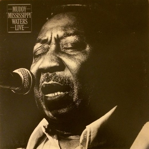 Muddy Waters - Muddy "Mississippi" Waters Live