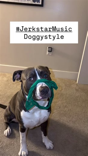 #adamjacobsmusic #jerkstarmusic | Adam Jacobs Music