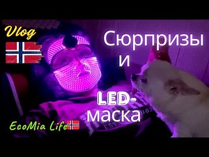 LED Lights, Gifts, and an Unexpected Gesture from My Son – A Touching Home Vlog /Nº1-12.2025