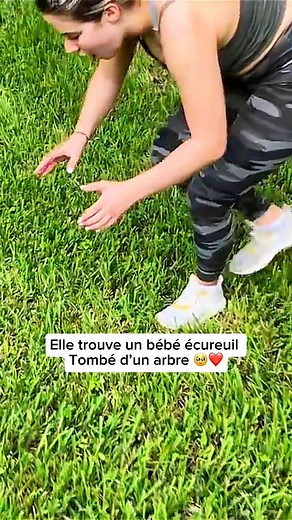 667K views · 10K reactions | Elle trouve un bébé écureuil tombé d’un arbre loin de sa mère 凉❤️❤️ #fypシ゚viralシfypシ゚ #fypシ゚viralシfypシ゚viralシalシ #fypageシ #facebookviral #wildlifephotographer #naturelovers #love #wild #loveyou @super fans | Lasoince | Facebook