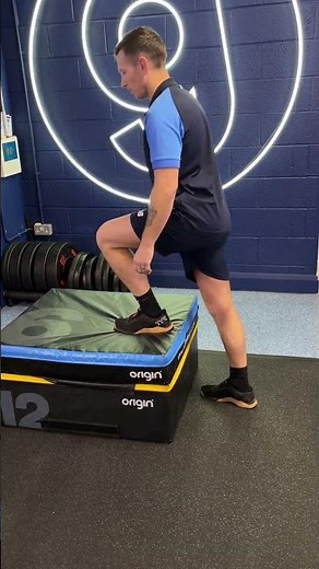 Box Step Ups (Bodyweight)
