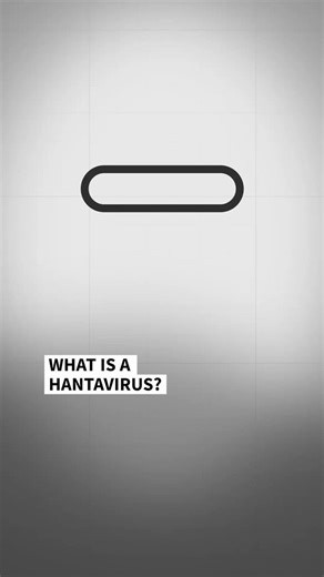 What is Hantavirus, exactly?-Causes respiratory and cardiac problems + hemorrhagic fevers-Normally transmitted to humans by infected rodents-Only a rare variant, the Andes strain (what's been reported on MV Hondius), spreads between humans