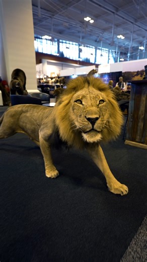 Have you heard of the Safari Club International - SCI convention? It's the Super Bowl of Hunting Shows! Click the link below for more information - https://bit.ly/SafariClubInternationalConvention2026 | Keith Warren