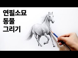 Pencil drawing for beginners, drawing horses