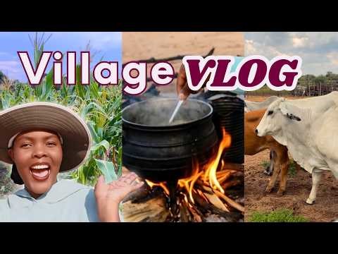 First Time at the village as a wife + You won’t believe what Happened NA