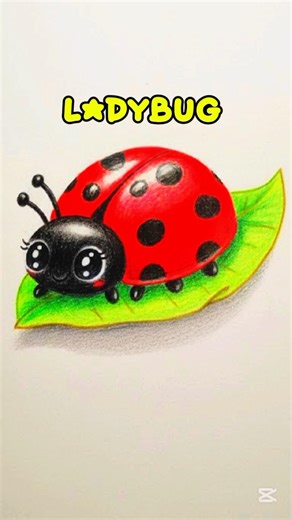 Ladybug Drawing #drawing #shortsdrawing #art