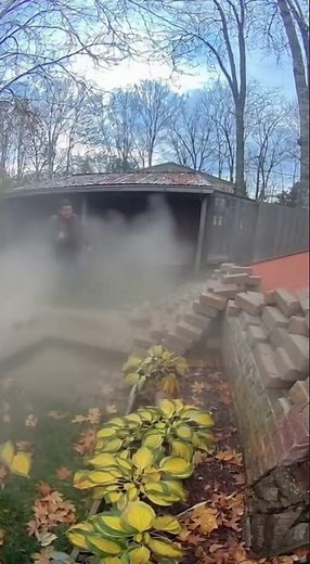 Dog's Heroic Reaction to Backyard Explosion -He Thought He Saved Me! #DogReaction #FunnyDog #PetHero