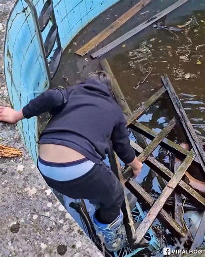 Drowning Deer Rescued From Abandoned Swimming Pool part1 Part2 Watch the full video here :https://shelterus.nataviguides.com/?p=4101 | Global Tails of Hope