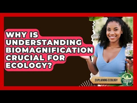 Why Is Understanding Biomagnification Crucial For Ecology? - Explaining Ecology
