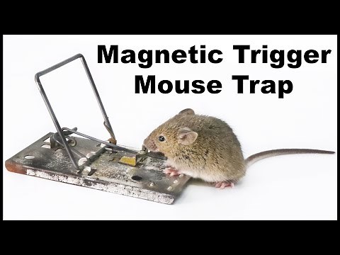 Magnetic Trigger Star Mouse Trap From 1984. Mousetrap Monday