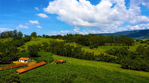 Peaceful countryside landscape view