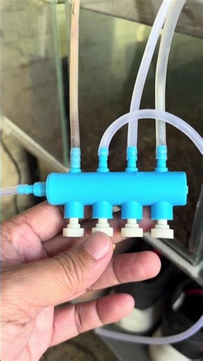 setting up bio filter for aquarium #pond #guppy #aquarium #aquascape #pondpump (music not mine)