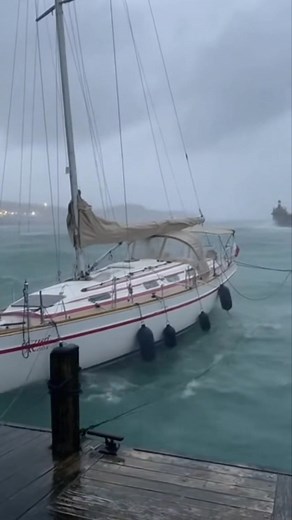 8.1K views · 4 comments | A lonely sailboat fighting the storm — no people, just nature showing its power. #StormWaves #Sailboat #ExtremeWeather #OceanStorm #NaturePower #StormScene #CinematicFootage #HarborStorm #WindAndWaves #LonelyBoat #MoodyOcean #NaturalForces #SeaStorm #WeatherCinematic #OceanEnergy | SailSnaps | Facebook