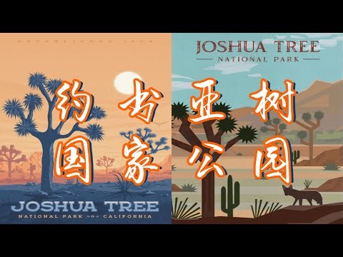 【美国约书亚树国家公园全攻略】大漠孤烟直，长河落日圆。一起去看看荒漠里的国家公园。︳Joshua Tree National Park Vlog︳美国国家公园之旅︳