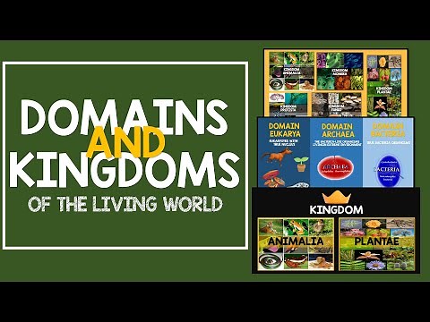 Domains and Kingdoms of the Living World | Biology Animation