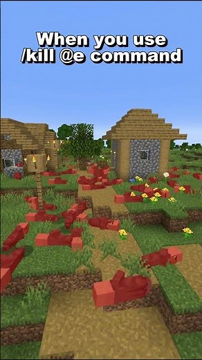 Minecraft Player When They Discover /kill @e 💀