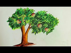How to Draw a Fig Tree Step by Step Guide for Beginners