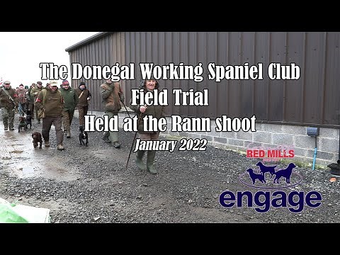 Donegal Working Spaniel Club Field Trial: Held at the Rann Shoot