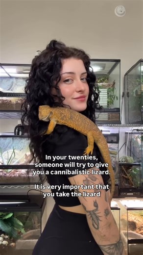 Inspire Exotics • Exotic Pet Content Creator on Instagram: "How it all started 😌 #girlswithreptiles #exoticpets #reptilekeeper"