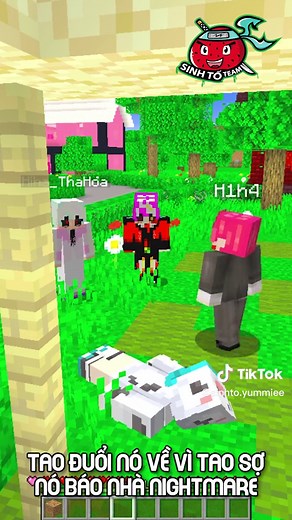 Khám Phá Bên Trong Trái Tim Hiha Mặt Trời Đỏ