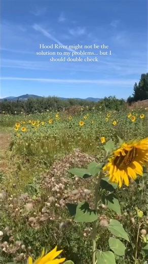 1.8K views · 1.2K reactions | This 35-mile scenic loop along some of the region's top farms, orchards and wineries might just be the answer. Link in bio for all the secrets to the Hood River Fruit Loop.  @dashapru @wildoregongirl | Travel Oregon | Facebook