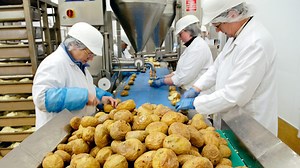 Operations - Functional activities - National 4 Business Revision - BBC Bitesize