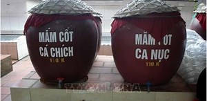Vietnamese Fish Sauce Entrepeneurs | Seafood Processing
