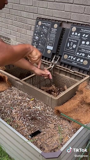 Maximizing Your Compost with Additional Worms for Vermicomposting