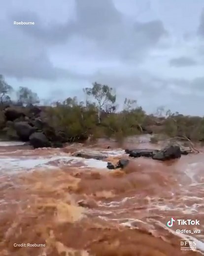 Tropical Cyclone and Bushfire Response in Western Australia