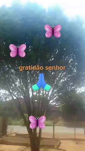 Animated Pink Butterflies Dancing Around a Tree