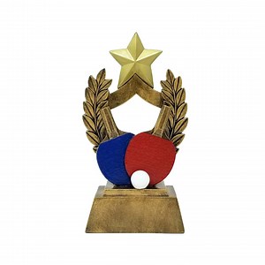 Color Ping Pong Trophy - Table Tennis Award by DECADE AWARDS - Etsy