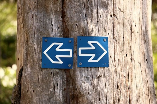 【初心者向けエクセルVBA】If～Thenを使った条件分岐の超入門