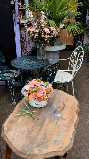 Just because your so pretty….Master Florist,Sparkz Dianthus, Just Chrys | Passionate Flowers