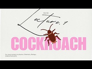 Cockroach | Lecture 1 | Mouth parts of cockroach | 11th biology | #eoned #biology