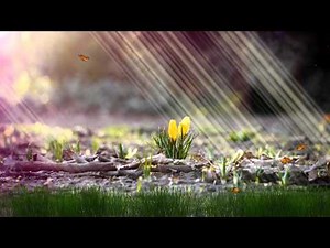 Flower Dawn Animated Wallpaper http://www.desktopanimated.com